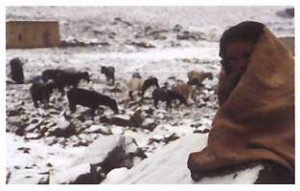 Djbel Sarhro versant nord. À près de 2 300 mètres d'altitude, l'arrivée au col de Tizi n'Ouarg devrait dévoiler les sommets tout proches du Haut-Atlas, de l'autre côté de la vallée du Dadès. Mais en ce mois de février, le panorama de carte postale laisse la place à ces paysages surréalistes d'une végétation pré-saharienne ployant sous la neige. Une scène ponctuée d'hommes en djellabas guidant des mules peu rassurées sur des sentiers devenus très glissants. Photo : Pascal Kober