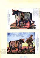 orenpoudre Après avoir été présentée au Musée de Bagnes (voir le numéro 17 de L'Alpe) l'exposition "Lait Guigoz, une innovation, une réussite" sera visible au Musée gruérien de Bulle (canton de Fribourg) à partir du 9 mars 2003.